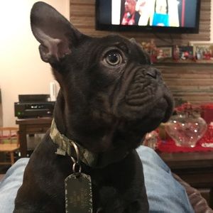 Meet your Posher, Alberto